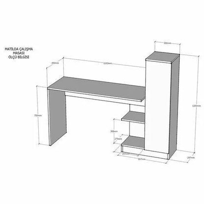 Modern Home Office Writing Computer Desk with Side Shelves